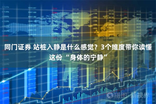 同门证券 站桩入静是什么感觉？3个维度带你读懂这份 “身体的宁静”
